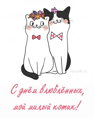 Картинки с днем святого валентина с кошками