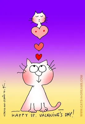 С праздником святого Валентина всех! | Питомник кошек