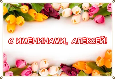 Какой праздник сегодня 30 марта 2021 - День Теплого Алексея - история,  традиции - Апостроф