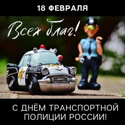 Мэр Хабаровска поздравил сотрудников и ветеранов с Днем полиции