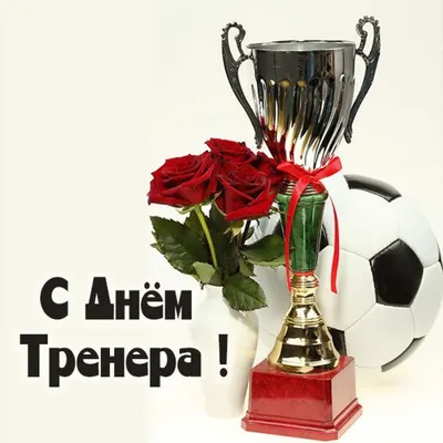 Официальный сайт футбольной школы Звезда Люберцы -