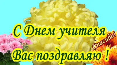 С Днём Учителя 2021! – Управление культуры и туризма администрации города  Тулы