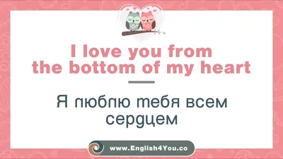 Сто фраз о любви на английском: что написать на праздничной валентинке -  ForumDaily