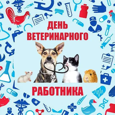 Международный день ветеринарного врача