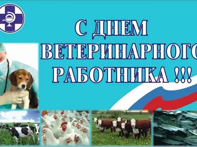 День работников ветеринарной медицины - поздравления в стихах, картинках —  УНИАН