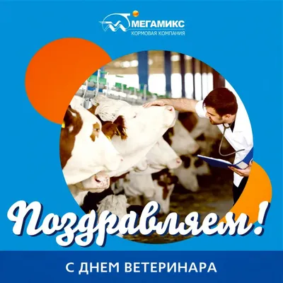 Международный день ветеринарного врача - Праздник