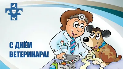 День ветеринара в Украине 2023 — поздравления на 13 августа, открытки и  картинки - Телеграф