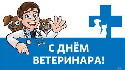 С ДНЁМ ВЕТЕРИНАРА! | Ветеринария и жизнь