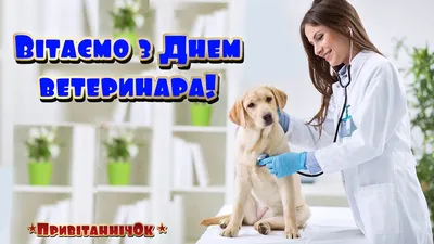 День ветеринара - открытки, стихи, поздравления с днем работников  ветеринарной медицины Украины в прозе и видео - Апостроф