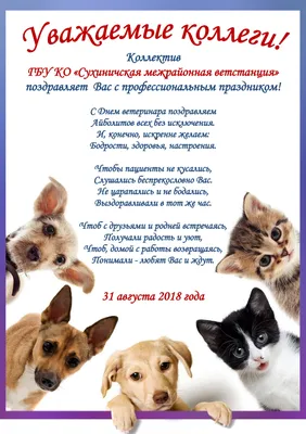 С Днем Ветеринарного врача - Южно-Российский международный ветеринарный  конгресс