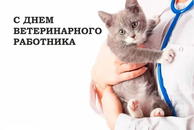 День ветеринарного работника: картинки и открытки с поздравлениями - МК  Волгоград