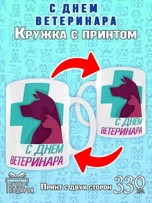 Яке сьогодні свято — День ветеринара 2021 — 8 серпня — привітання з днем  ветеринара / NV