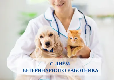 Открытки для поздравления в Международный день ветеринарного врача 30 апреля