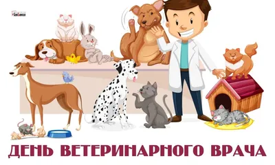 Открытки для поздравления в Международный день ветеринарного врача 30  апреля | Курьер.Среда | Дзен