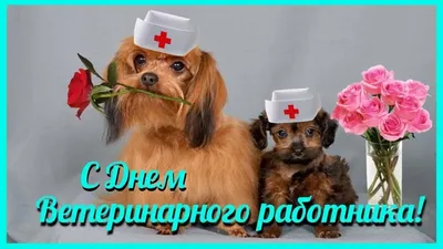 31 августа- День работника ветеринарной службы · Администрация  Малоархангельского района