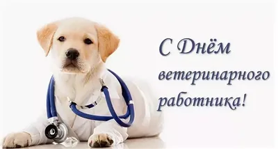 Картинки С Днем Ветеринарного Врача фотографии
