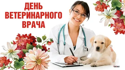С днём Ветеринарного врача !!!!! - Поздравления - Лабрадор.ру собаки -  ретриверы