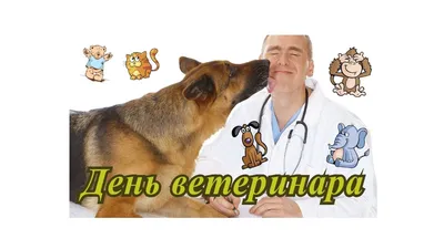 31 августа — День ветеринарного работника | Газета Рассвет