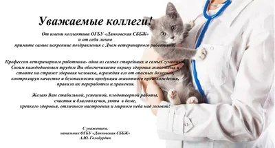 День ветеринарного врача! - Экология человека