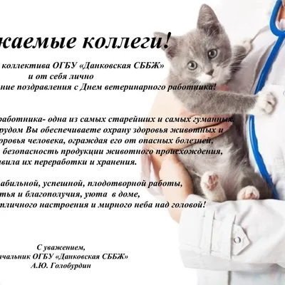 31 августа — День ветеринарного работника / Открытка дня / Журнал Calend.ru