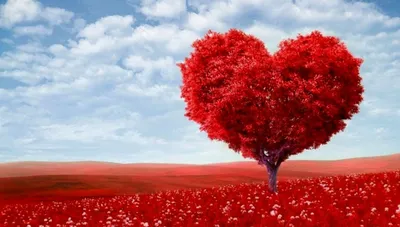 С Днём Святого Валентина ❤️ С Днём Всех Влюблённых ❤️ Красивое Поздравление  на 14 февраля - YouTube
