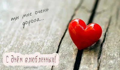 Романтическая открытка в день влюбленных 14 февраля с ярким  красно-оранжевым сердцем и парой на фоне заката | Flyvi