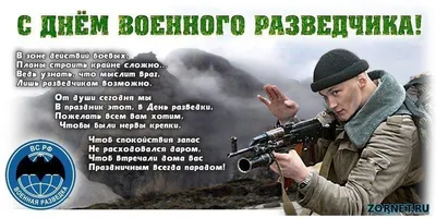 День военного разведчика» 2023, Новошешминский район — дата и место  проведения, программа мероприятия.