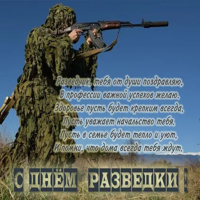 Момент в истории: 5 ноября в России отмечается День военного разведчика -  Лента новостей ДНР