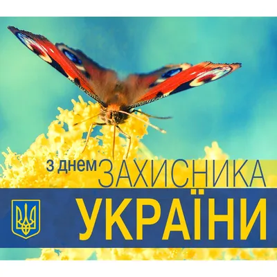 С днем защитника и защитницы Украины!