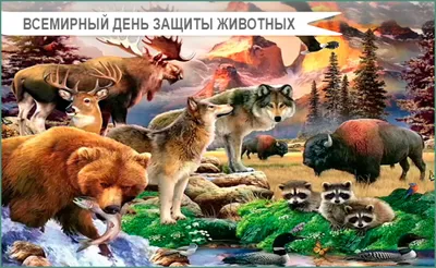 Сегодня во всем мире отмечается День защиты животных - Лента новостей Крыма