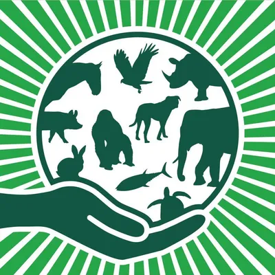 Всемирный день защиты животных