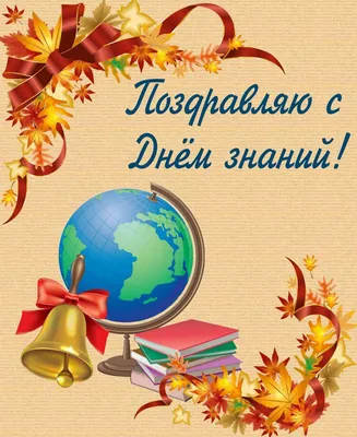 День знаний 1 сентября: лучшие, красивые и прикольные открытки с надписями  к празднику - МК Новосибирск