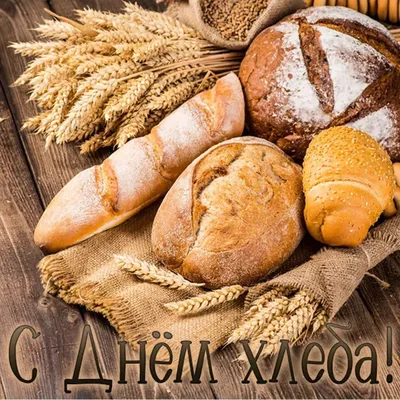В Казахстане отмечается День хлеба