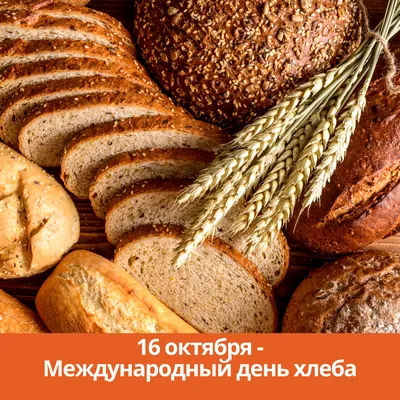 16 октября - Всемирный день хлеба – Катюша