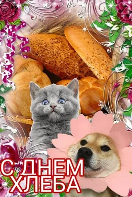 Коллектив ООО \"Калининградхлеб\" поздравляет всех с Международным Днем Хлеба  !