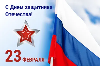 Поздравление с Днем защитника Отечества | Управление Роспотребнадзора по  Калининградской области
