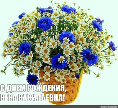 С ДНЁМ РОЖДЕНИЯ, ВЕРА! МУЗЫКАЛЬНАЯ ВИДЕО ОТКРЫТКА |  Поздравления,открытки,пожелания | Дзен