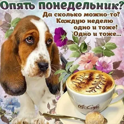 Открытки с понедельником удачной недели (66 фото)