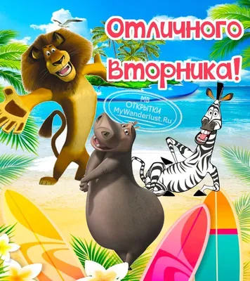 Красивые картинки \"Доброе утро вторника!\"