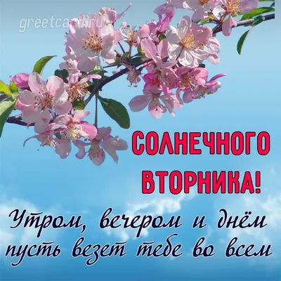 Картинки \"Доброго Утра Вторника!\" (155 шт.)