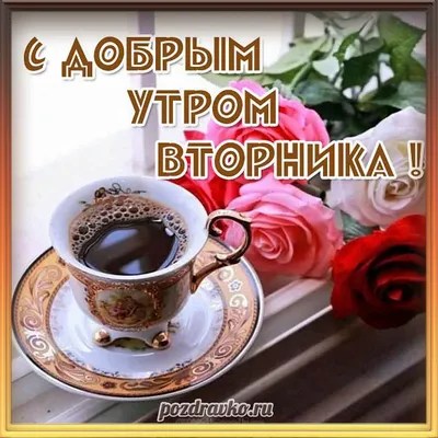 С Добрым Утром вторника! Пусть день пройдет замечательно!!! ☕🍬🍩 | Город  преданных собак 73 | Дзен