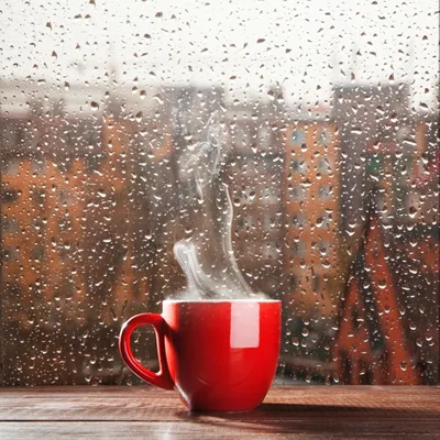 С добрым дождливым утром открытки - 75 фото