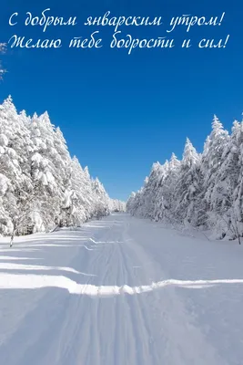 Картинки доброе январское утро (107 шт.)