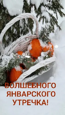 Яндекс Картинки: поиск похожих изображений