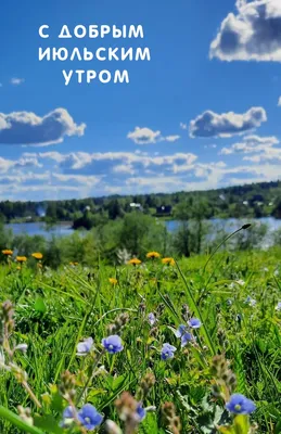 🍓🌞🍒 С ДОБРЫМ ИЮНЬСКИМ УТРОМ 🍓🌞🍒 Доброе утро, хорошего дня! Море  улыбок пусть ждет в нём тебя. .. | ВКонтакте