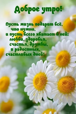 С Добрым Воскресным Утром! 2 июля. #позитивкаждыйдень #сдобрымутром #д... |  TikTok