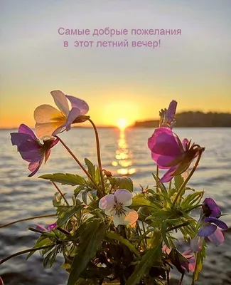 С Добрым Летним Утром! 18 июля. #позитивчикдлянастроения #владаалматы ... |  TikTok