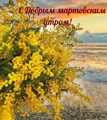 🌸✨🌸 С ДОБРЫМ МАРТОВСКИМ УТРОМ 🌸✨🌸 Это март приходит нежно и красиво,  Это он приносит ласково тепло... | ВКонтакте