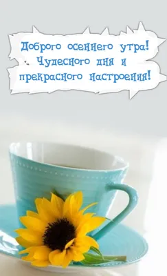 🍁С Добрым Осенним Утром!!!Доброе утро!🍂#доброеосеннееутро#сдобрымутр... |  TikTok