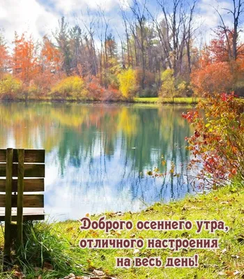 Креативное рукоделие Могилёв - Утро С добрым утром. С новым днем. И с  осенним ветерком. На работу мы идём. С новой силой бодричком. С новой  рабочей неделей. И хорошей погоды не только